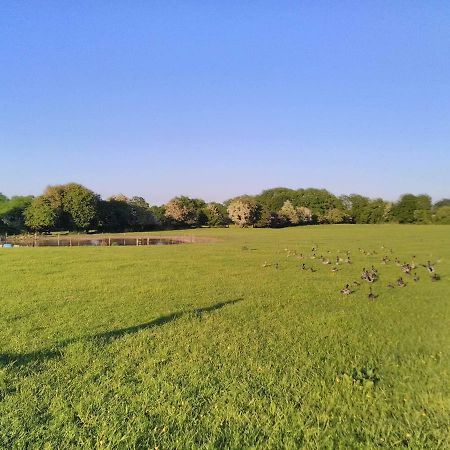 ホテル Castletownmoor Clinic & Permaculture Farm ケルズ エクステリア 写真