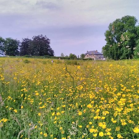 ホテル Castletownmoor Clinic & Permaculture Farm ケルズ エクステリア 写真