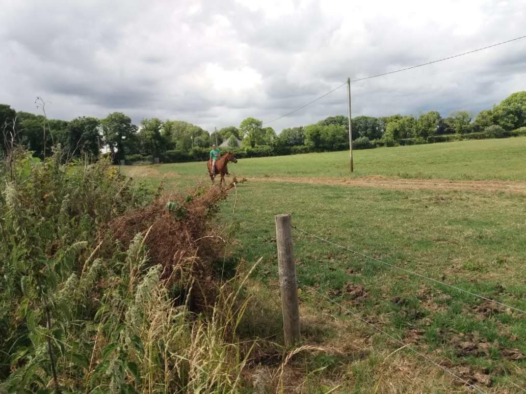 ホテル Castletownmoor Clinic & Permaculture Farm ケルズ エクステリア 写真