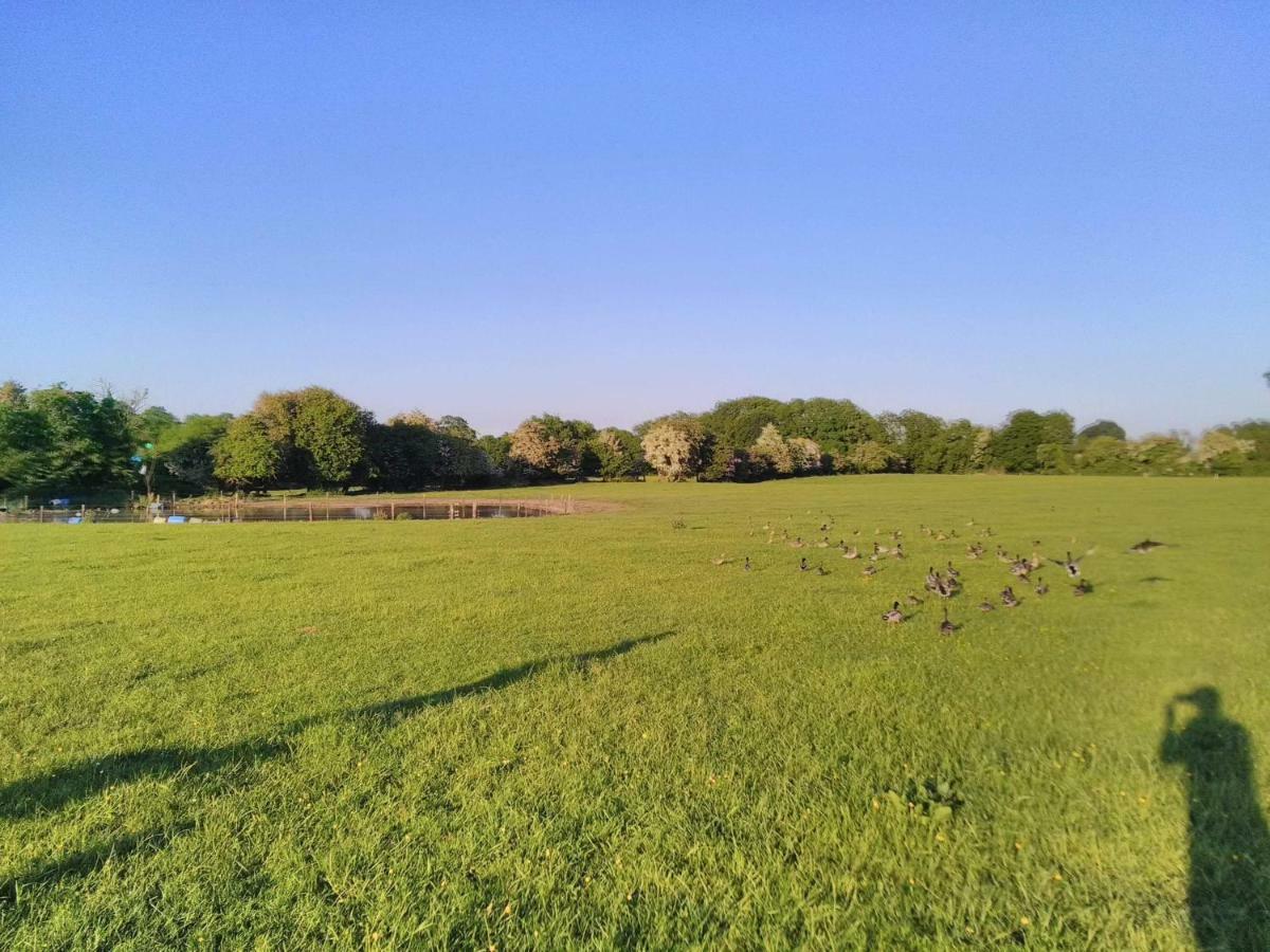 ホテル Castletownmoor Clinic & Permaculture Farm ケルズ エクステリア 写真