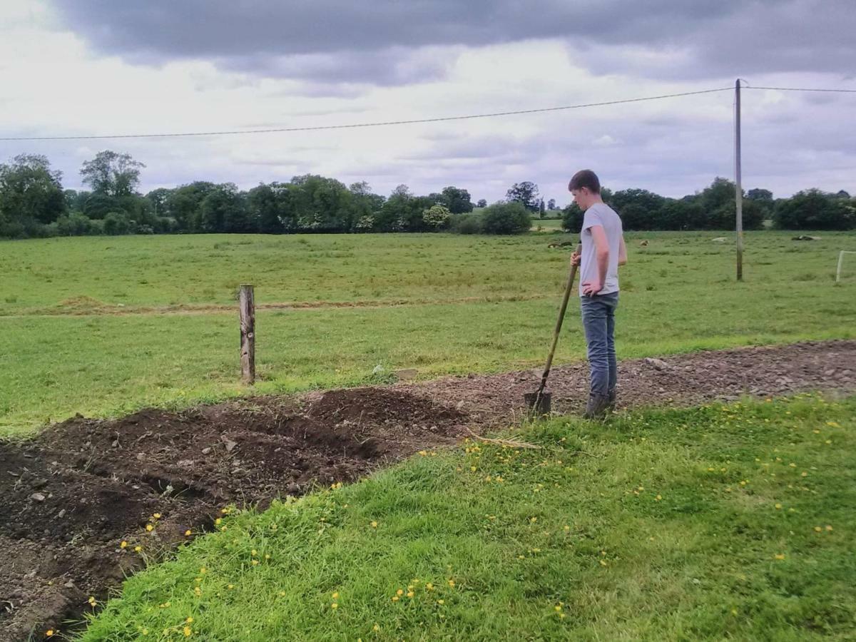 ホテル Castletownmoor Clinic & Permaculture Farm ケルズ エクステリア 写真