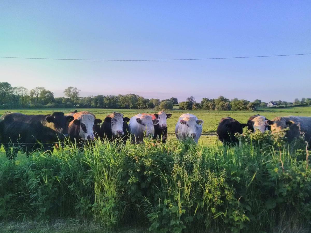 ホテル Castletownmoor Clinic & Permaculture Farm ケルズ エクステリア 写真