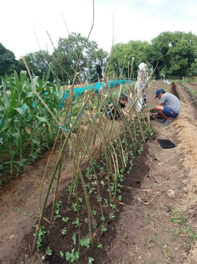 ホテル Castletownmoor Clinic & Permaculture Farm ケルズ エクステリア 写真
