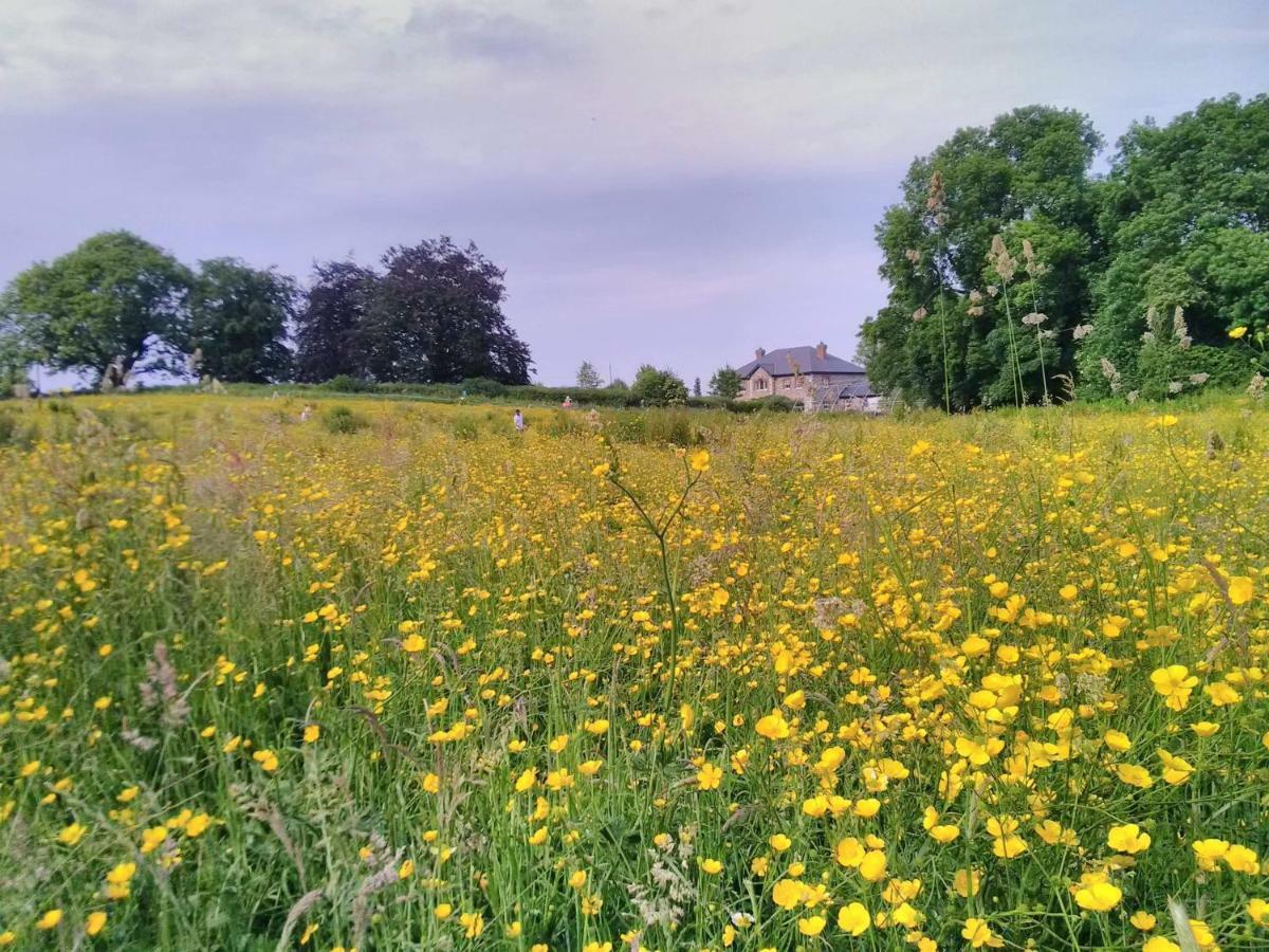 ホテル Castletownmoor Clinic & Permaculture Farm ケルズ エクステリア 写真